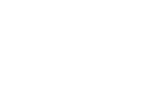Jewish Women’s Foundation