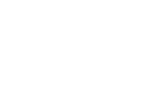Mercury Strategies